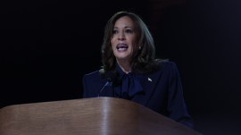 kamala harris speech, DNC, indian express