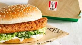 The complainant alleged that due to the negligent act of the KFC manager, his wife was in a mental dilemma and under immense stress.