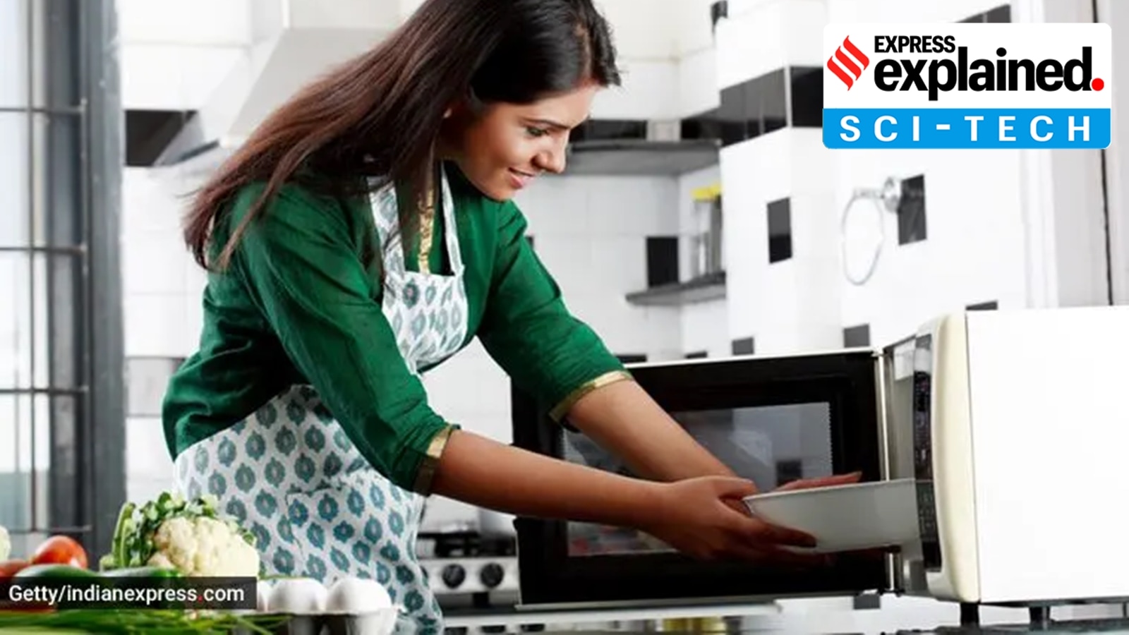 Microwave ovens host thriving communities of microbes: What a new study says