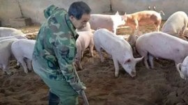 Wayanad, pork selling, kerala Cleric, Wayanad landslide relief fund, Sunni cleric Nasar Faizy Koodathai, blasphemy, Indian express news