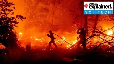 Pyrocumulonimbus cloud: when wildfires spit storms, lightning