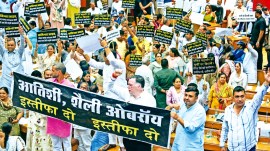 AAP, Aam Aadmi Party AAP, MCD, Shelly Oberoi, delhi news, India news, Indian express, Indian express India news, Indian express India