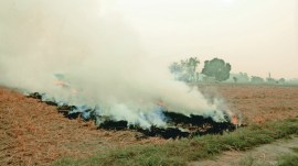 Artificial rain, WFH, Winter Action Plan, delhi Winter Action Plan, delhi news, India news, Indian express, Indian express India news, Indian express India