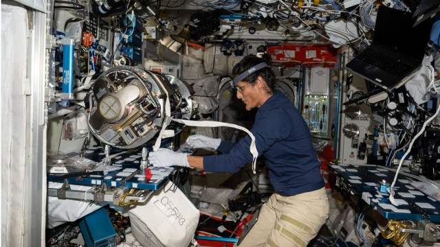 Sunita Williams