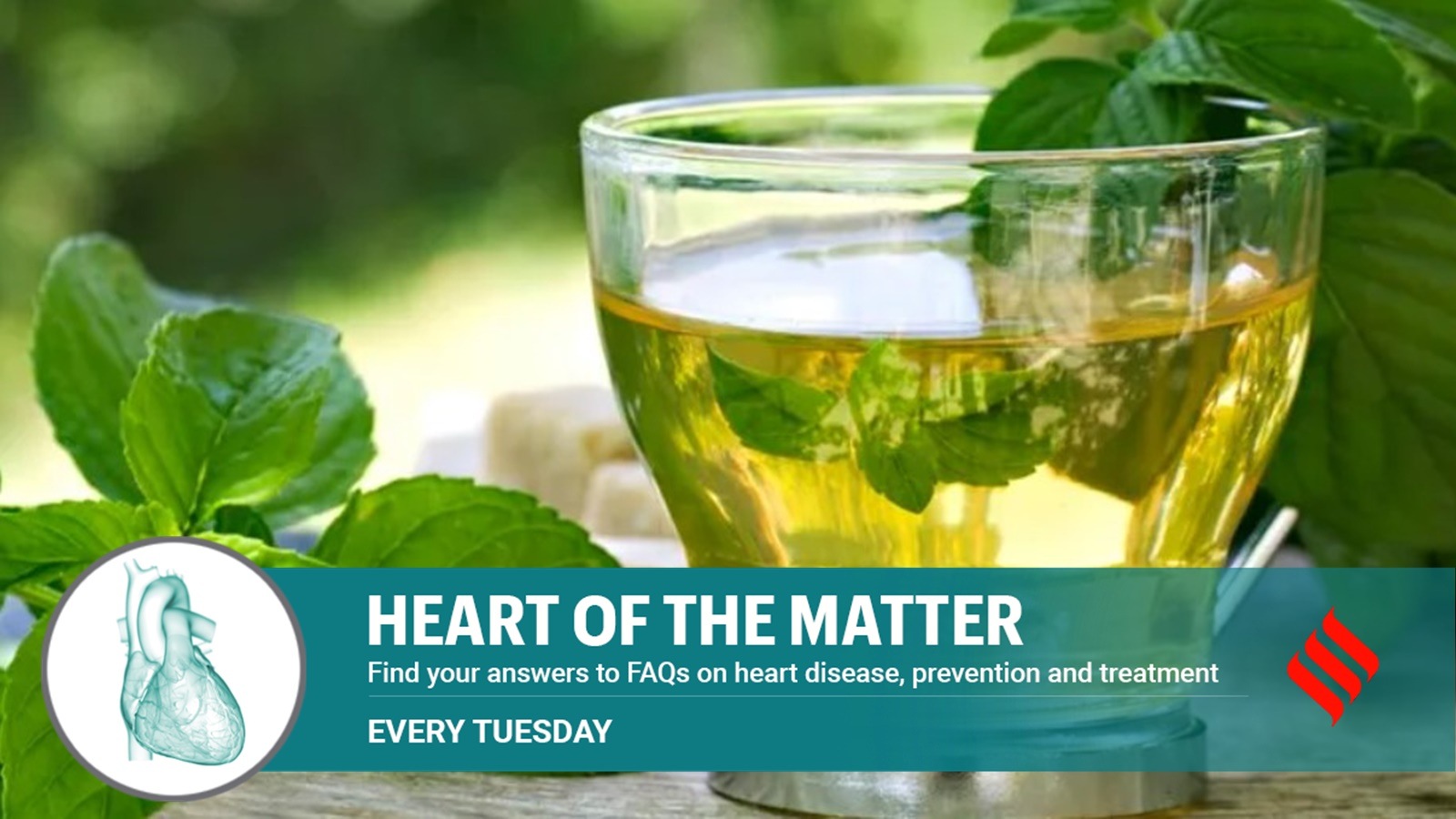 tea for heart health
