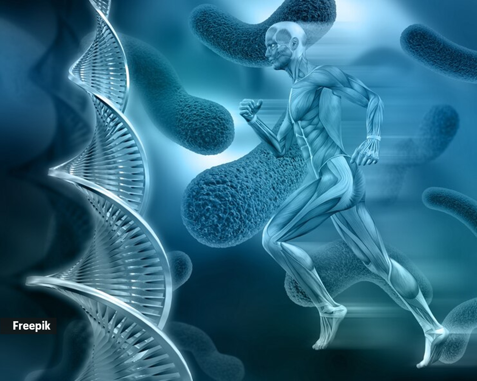 It's worth noting that testosterone doesn't work in isolation.