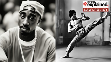 AI-Generated-Image-California