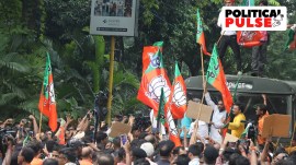 BJP, muslim nominations, political pulse, indian express