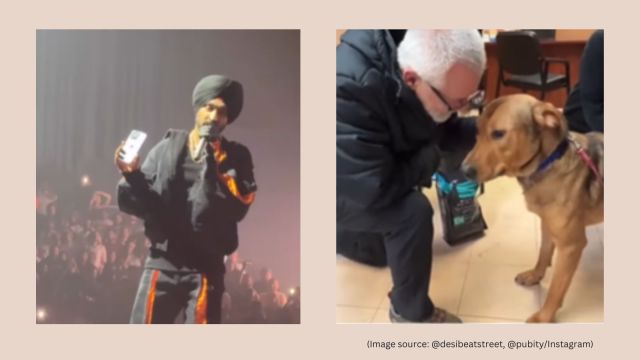 Top 5 viral videos today