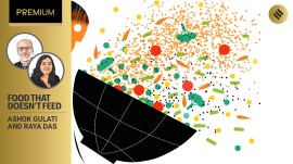 Food that doesn’t feed_Premium-01 food wastage