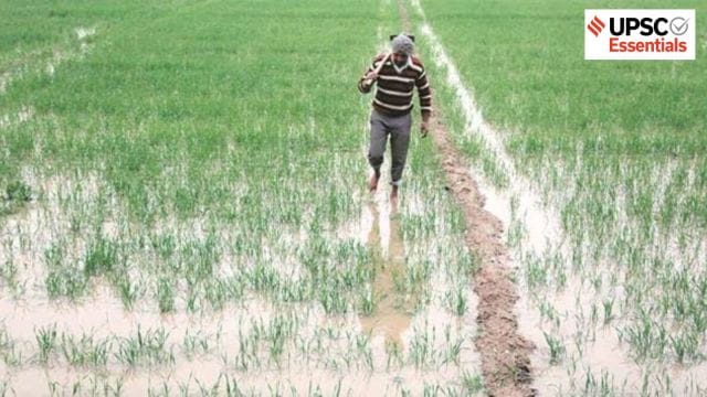 Shift in cropping pattern dynamics in India and its impact