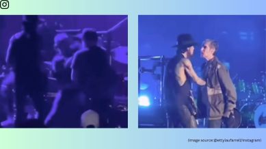 Perry Farrell punched guitarist Dave Navarro during the show (Image source: @ettylaufarrell/Instagram)