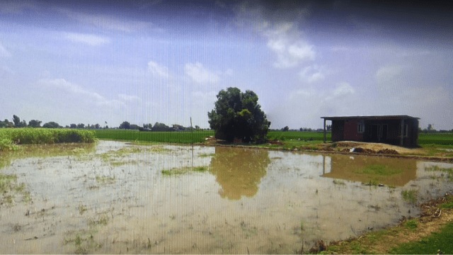 According to complainant Jaskirat Singh Sidhu, “Khasra Number 143, 12 marlas of land in village Chima Kalan, is an empty plot, and there has been no factory.”