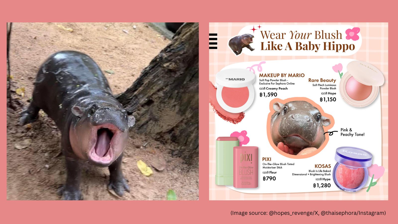 Meet Moo Deng, The Viral Baby Hippo Ruling The Internet | Trending News ...