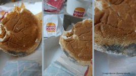 Mould-infested burger from Burger Kind.