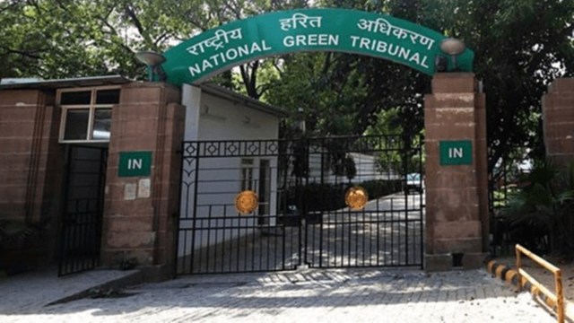 Kanwar Marg Case: NGT, Surveyor General of India, tree felling, uttar pradesh, uttarakhand, forest land, Indian express news