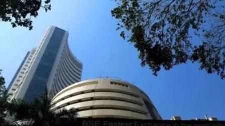 NSE, Go Live, T+0 settlement cycle, trading, capital market, capital market segment, custodial participants, equity segment, Indian express news