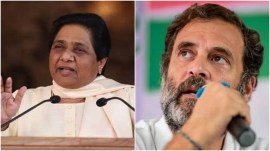 Mayawati Haryana election rally, BSP chief Mayawati Congress, Rahul Gandhi chameleon comment,