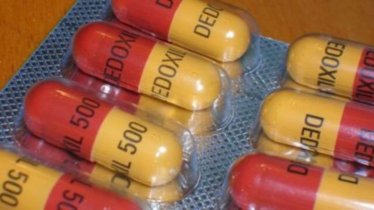 Sepsis deaths occur when one's immune system has a dangerous reaction to a bacterial infection and without treatment, can lead to organ failure. AMR