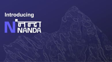 NANDA is a large language model tailored for Hindi-speaking users.