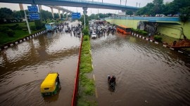 Dengue cases up, two deaths