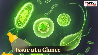 UPSC Issue at a Glance | Antimicrobial Resistance and India: 4 Key Questions You Must Know for Prelims and Mains