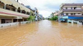 Andhra Pradesh rain, Telangana