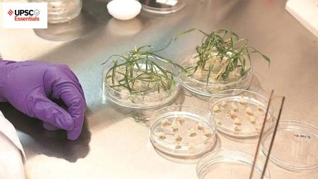 UPSC Mains answer practice — GS 3 (Week 68)