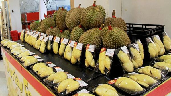 coffee prices - Durian 