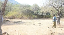 gir forest, esz, gujarat