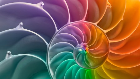 new shape soft cells