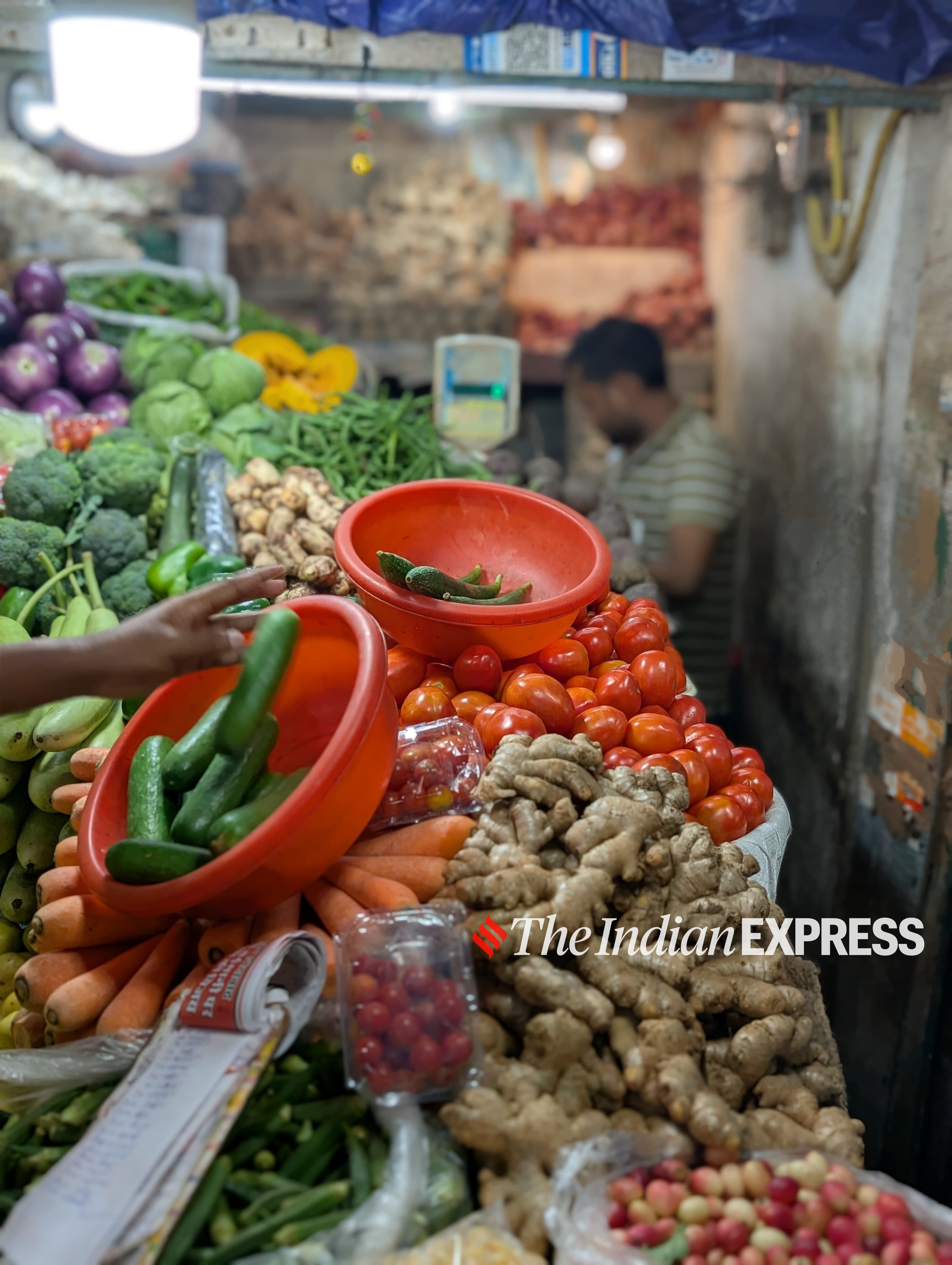 Pixel 9 sample Image. (Image: Bijin Jose/The Indian Express)