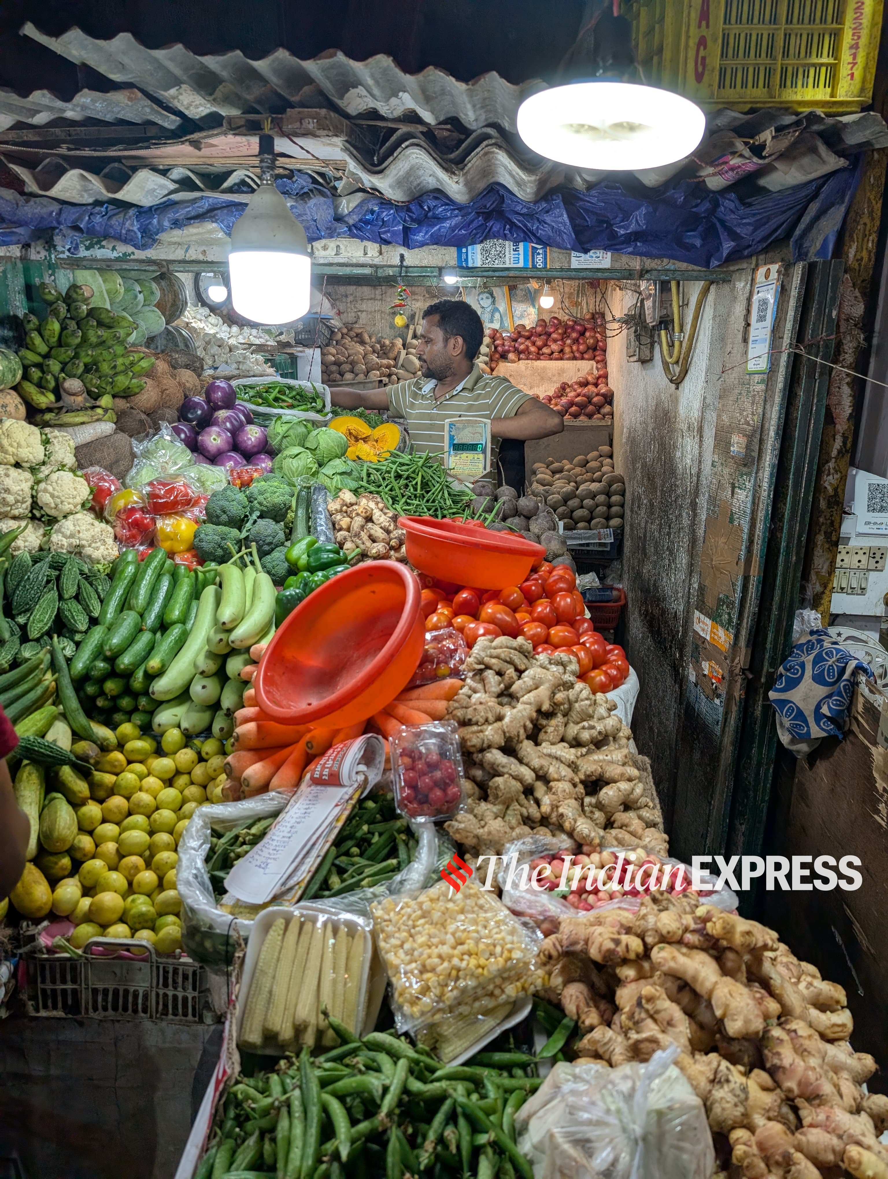 Pixel 9 sample Image. (Image: Bijin Jose/The Indian Express)