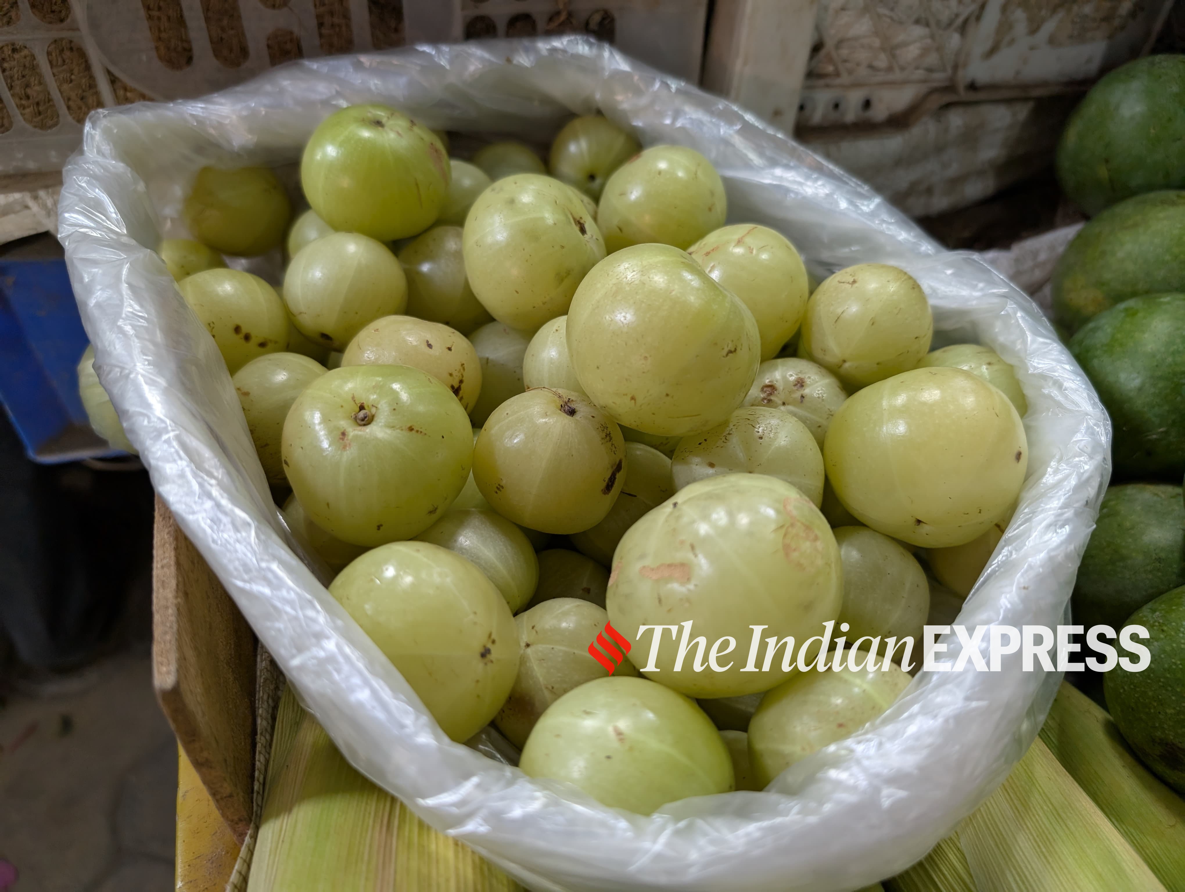 Pixel 9 sample Image. (Image: Bijin Jose/The Indian Express)