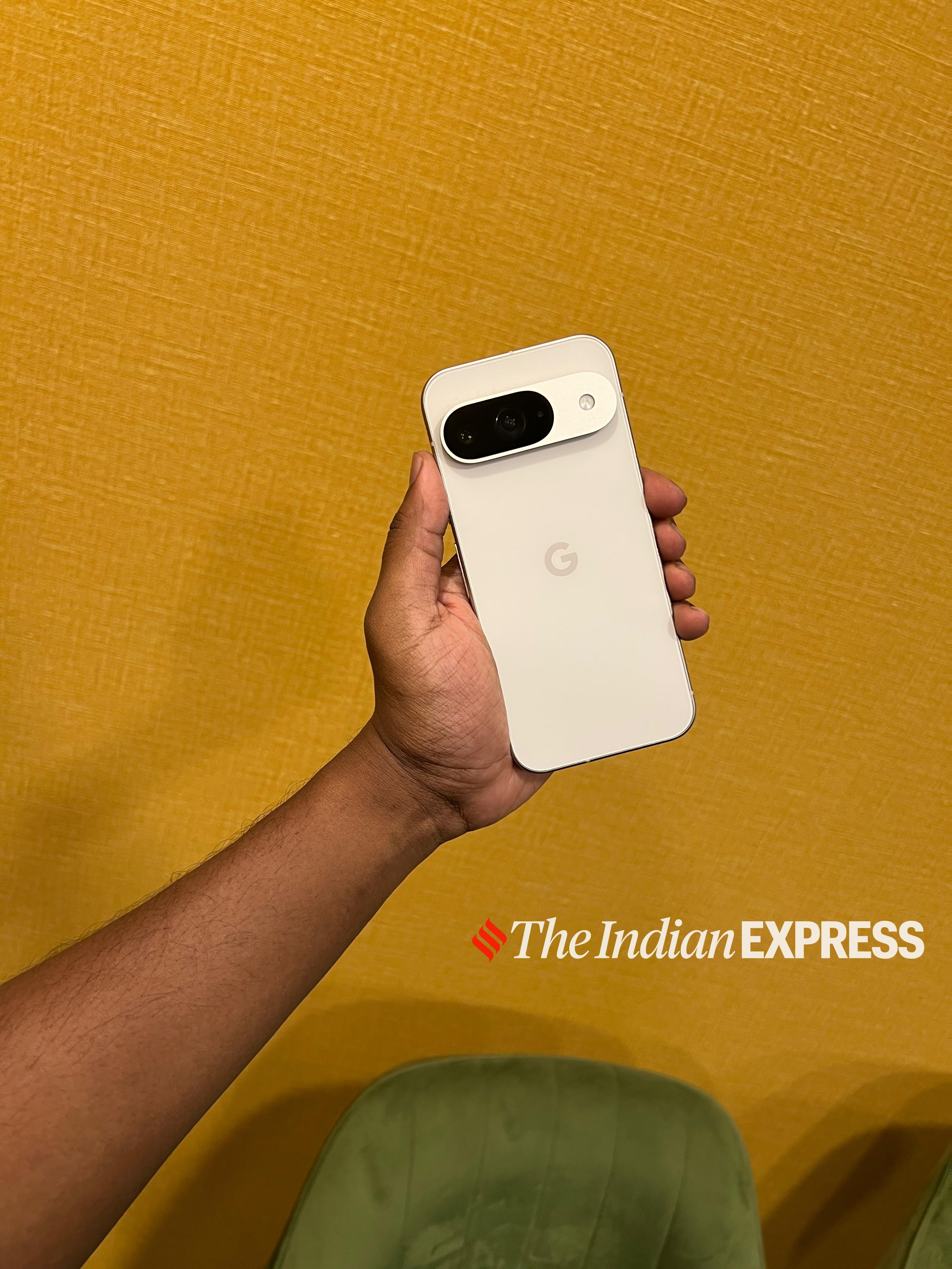 Pixel 9 sample Image. (Image: Bijin Jose/The Indian Express)