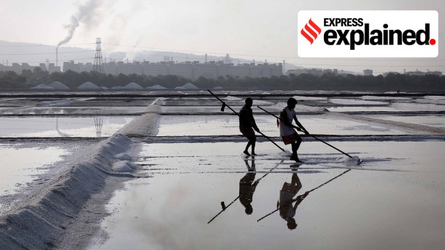 Controversy over Mumbai’s salt pans: why do these lands matter?