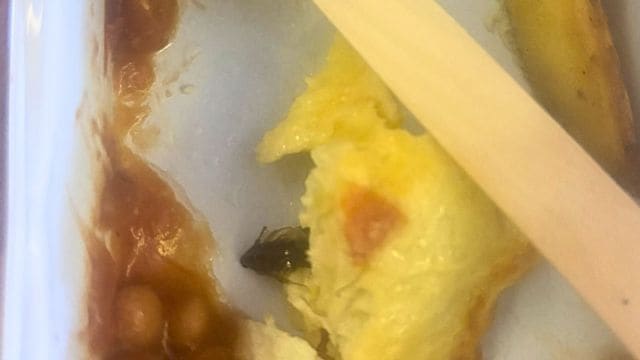 air india cockroach food