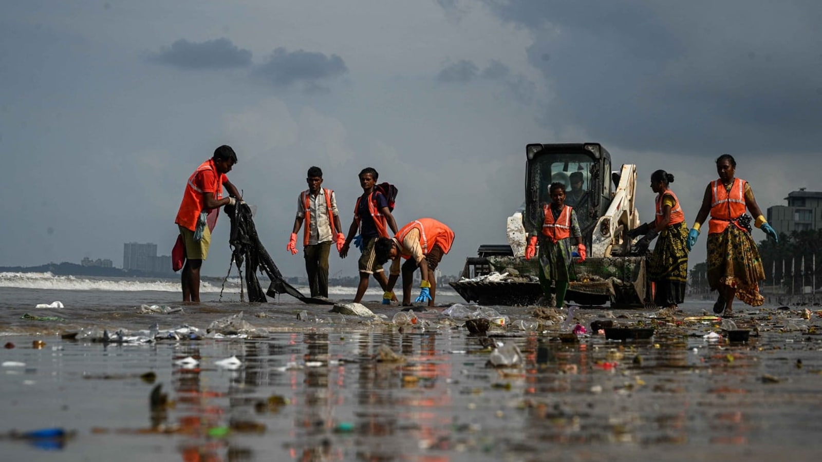 beach cleaning