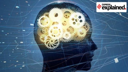 Alzheimer, Alzheimer's, Alzheimer's risk, Night time light pollution, light pollution, dementia, Indian express explained, explained news, explained articles