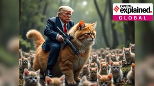 Donald Trump cats Kamala Harris