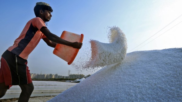 mumbai salt pans