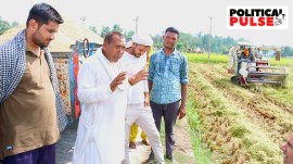 Mange Ram Sisodia, a farmer from the SC community, at his fields in Naraingarh Majri village of Kurukshetra district. (Express photo by Jasbir Malhi)