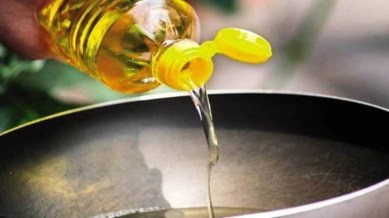 edible oils import duty raises, edible oils, import duties, onions, rice, farmers, MSP, export curbs, soybean, agriculture, Indian express news