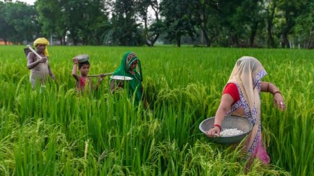 How agriculture can be an engine for growth