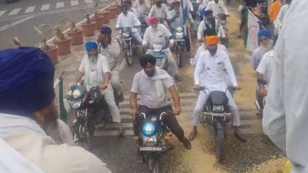 farmers, basmati