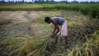 Govt plans `6,000-cr scheme to boost precision farming