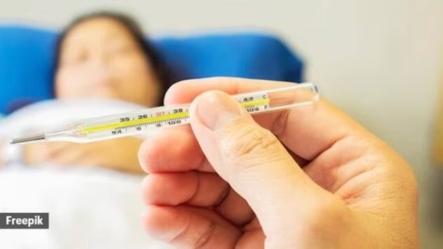 Gujarat Mystery fever, Gujarat Mystery fever deaths, fever sample testing, indian express news