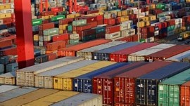 India goods exports decline