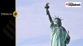 immigration india usa no alt set