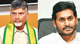 tirupati laddoos, pawan kalyan, Tirupati, Chandrababu Naidu Tirupati Laddu controversy, Tirupati Laddu animal fat allegations, YSRCP Tirupati Laddu controversy response, Tirumala temple prasadam controversy, N Chandrababu Naidu YSRCP allegations, TTD Tirupati Laddu substandard ingredients, TDP YSRCP political controversy Tirupati, Tirupati Laddu quality allegations, Jagan Mohan Reddy Tirupati Laddu controversy, YSR Congress Party Tirupati Laddu allegations, Andhra Pradesh temple controversy 2024, TTD Chairman on Chandrababu Naidu allegations, Nara Lokesh on Tirupati Laddu quality, YS Sharmila response to Naidu allegations, Tirupati Laddu religious sentiments controversy, Andhra Pradesh politics Tirumala temple, CBI inquiry demand Tirupati Laddu controversy, TDP vs YSRCP Tirupati temple, Tirumala temple prasadam substandard ingredients, Tirupati Laddu quality check controversy